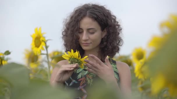 Pretty curly playful smiling girl standing on the sunflower field. Bright yellow color. Freedom concept. Happy woman outdoors — Stock Video