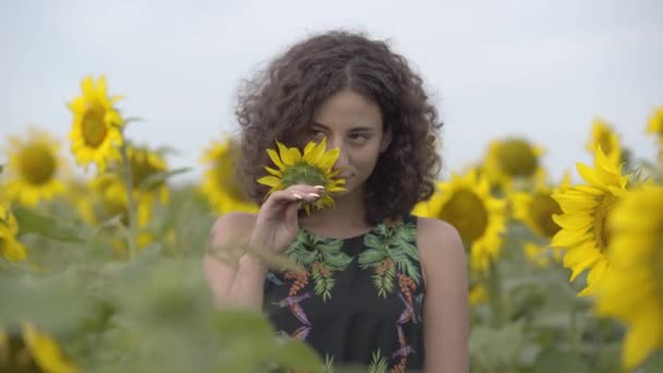 Πορτραίτο της όμορφης σγουρά κορίτσι κοιτάζοντας την κάμερα χαμογελά και καλύπτοντας το μάτι της με λίγο ηλιοτρόπιο στο πεδίο του ηλιόσοσο. Σύνδεση με τη φύση. Αγροτική ζωή — Αρχείο Βίντεο