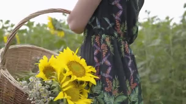 Неузнаваемая стройная девочка ходит и собирает цветы в большой плетеной корзине на подсолнечном поле. Связь с природой. Сельская жизнь — стоковое видео