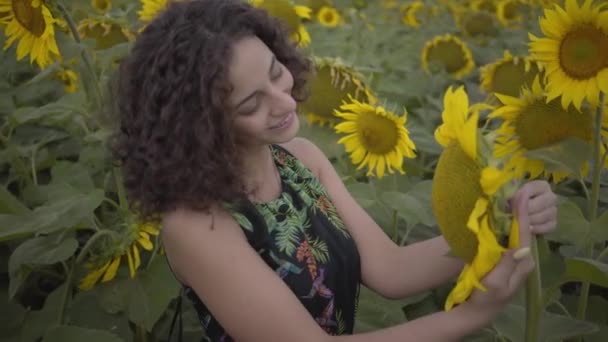 Ritratto di ragazza riccia carina annusare grande girasole nel campo di girasole. Connessione con la natura. La vita rurale. Bellezza della natura. Concetto agricolo — Video Stock