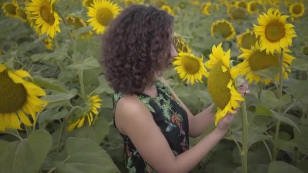 Portret pięknej kręcone dziewczyny wąchania wielki słonecznik w polu słonecznika. Połączenie z naturą. Życie na wsi. Piękno przyrody. Koncepcja rolnictwa — Wideo stockowe