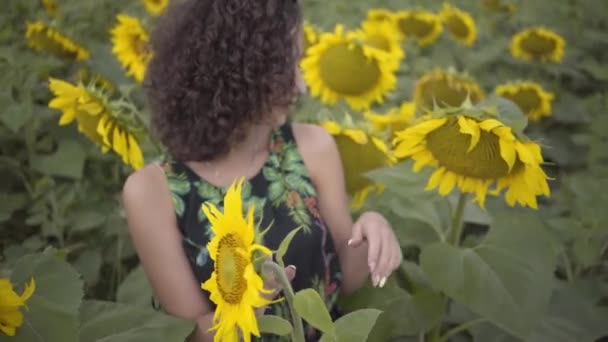 Portrait of beautiful fun curly playful sensual woman looking at the camera smiling standing on the sunflower field. Bright yellow color. Freedom concept. Happy woman outdoors. Slow motion. — Stock Video
