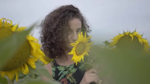 Retrato de hermosa diversión rizado juguetón sensual mujer mirando a la cámara sonriendo de pie en el campo de girasol. Color amarillo brillante. Concepto de libertad. Mujer feliz al aire libre. Movimiento lento . — Vídeos de Stock