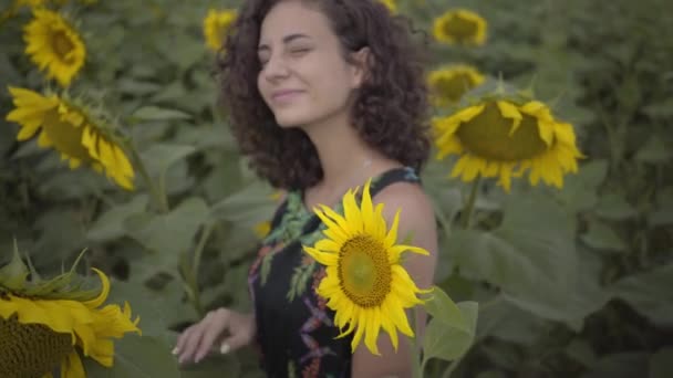 Ritratto di simpatico divertimento riccio giocoso sensuale donna guardando la fotocamera sorridente in piedi sul campo di girasole. Colore giallo brillante. Il concetto di libertà. Donna felice all'aperto. Rallentatore . — Video Stock