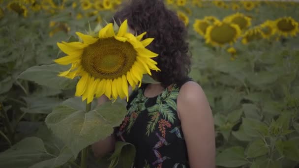 Ritratto di adorabile divertente riccio giocoso sensuale donna guardando la fotocamera sorridente in piedi sul campo di girasole. Colore giallo brillante. Il concetto di libertà. Donna felice all'aperto. Rallentatore . — Video Stock