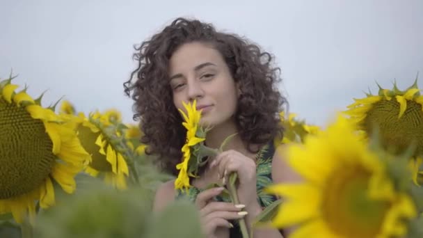 해바라기 밭에 서서 웃고있는 카메라를 보고 꽤 재미 곱슬 장난 관능적 인 여성의 초상화. 밝은 노란색. 자유 개념. 야외에서 행복한 여성입니다. 슬로우 모션. — 비디오