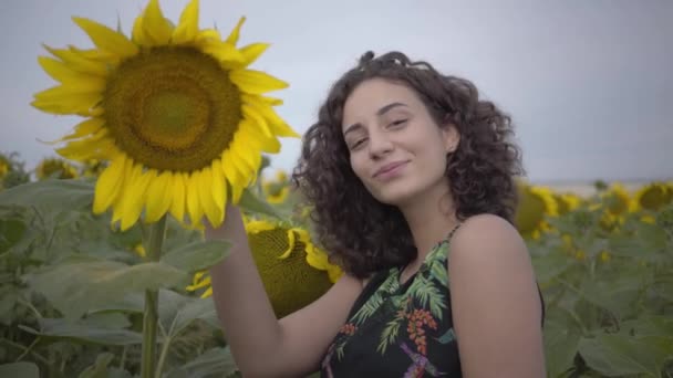 Retrato de linda diversión rizado juguetón sensual mujer mirando a la cámara sonriendo de pie en el campo de girasol. Color amarillo brillante. Concepto de libertad. Mujer feliz al aire libre. Movimiento lento . — Vídeo de stock