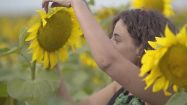 큰 해바라기와 함께 춤을 추고 해바라기 밭에서 웃고있는 아름다운 곱슬 소녀의 초상화. 밝은 노란색. 슬로우 모션 — 비디오