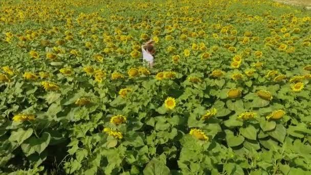 Vista superior de homem e mulher andando no campo de girassol amarelo. Conceito de liberdade. Colheita. Campo de girassóis ao pôr-do-sol. Conceito de liberdade. Adolescentes felizes ao ar livre. Movimento lento. Vista superior, disparo de drone — Vídeo de Stock