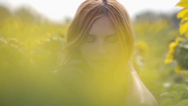 Retrato de menina sensual bastante confiante com cabelos vermelhos e olhos verdes em pé no campo de girassol. Conceito de beleza, conexão com a natureza. Movimento lento . — Vídeo de Stock