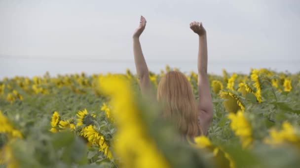 Ritratto di giovane ragazza sicura di sé con i capelli rossi che cammina attraverso il campo di girasole alzando le mani. Concetto di bellezza, connessione con la natura. Al rallentatore. Vista posteriore — Video Stock