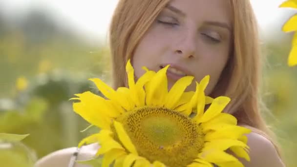 Porträtt av ganska säker sensuell tjej med rött hår och gröna ögon stående på solrosfält tittar på kamera. Begreppet skönhet, samband med naturen. Frihets koncept. Lycklig kvinna Utomhus. — Stockvideo