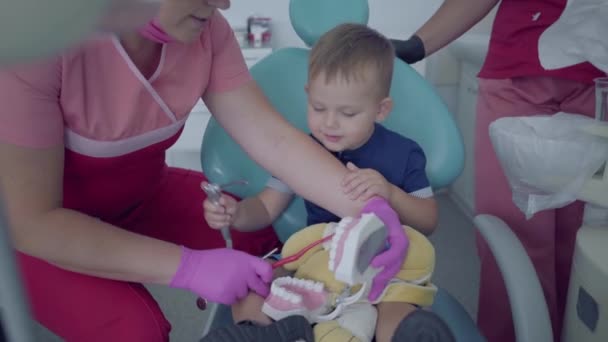 치과 의사 사무실에서 귀여운 작은 소년. 작은 환자에게 턱 모의를 사용하여 양치질을 하도록 가르치는 의사. 의사를 방문하는 평온한 아이. 치과, 치료, 의료 개념. 치과 치료. — 비디오