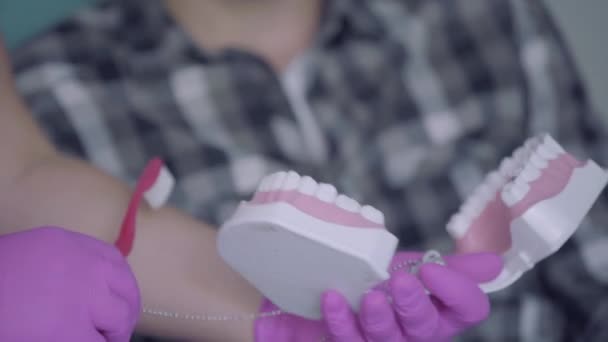 Zahnarzt zeigt dem Patienten, der im Stuhl einer modernen Zahnarztpraxis sitzt, Kiefermock. Zahnbehandlung, medizinisches Konzept. Zahnpflege. — Stockvideo