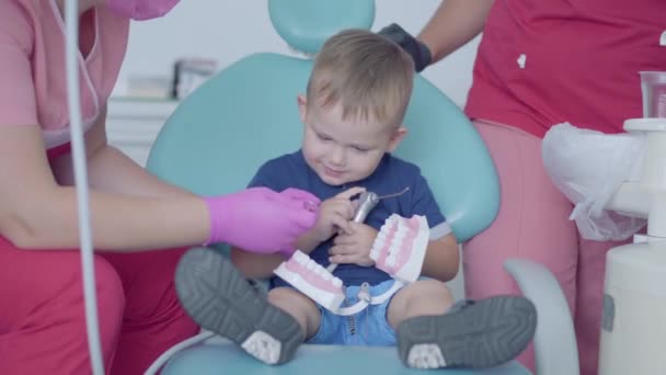 顎のモックで遊んで歯科医院で愛らしい小さな男の子。気楽な子供の訪問医師。歯科治療、医療コンセプト. — ストック動画