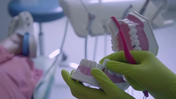 Primo piano di mani femminili in guanti lavarsi i denti per mascella beffardo. Cure dentali, concetto medico. Cure dentali . — Video Stock