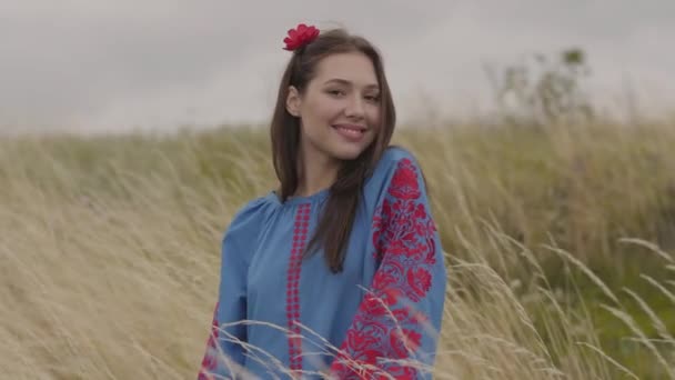 Menina morena jovem atraente com flor vermelha no cabelo e belo vestido de verão longo azul em pé no campo. Conceito de moda, conexão com a natureza — Vídeo de Stock