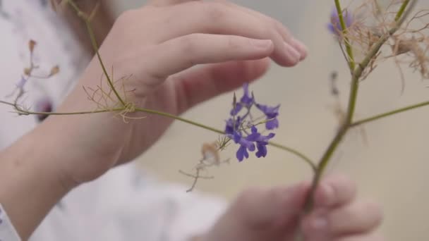 Primeros planos de las manos de una joven sosteniendo la flor silvestre. La chica tocando la flor violeta. Conexión con la naturaleza, concepto de vida rural — Vídeos de Stock