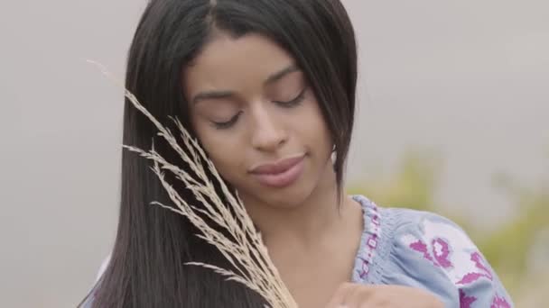 Portret pięknej młodej African American Girl trzyma uszy pszenicy na boisku. Koncepcja mody, związek z naturą, wiejski styl życia. — Wideo stockowe