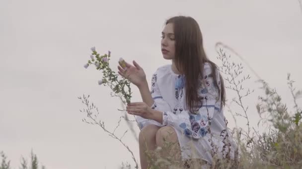 Ελκυστική νεαρή μελαχρινή κορίτσι σε μακρύ κεντημένο φόρεμα κρατώντας το άγριο λουλούδι στα χέρια. Το κορίτσι που αγγίζει το βιολετί λουλούδι. Έννοια της μόδας, σύνδεση με τη φύση — Αρχείο Βίντεο