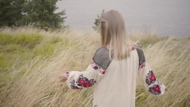 높은 잔디 사이를 걷는 자수와 아름 다운 긴 흰색 여름 드레스에 매력적인 금발 소녀의 백 보기. 강이 배경에 있습니다. 패션의 개념, 자연과의 연결 — 비디오