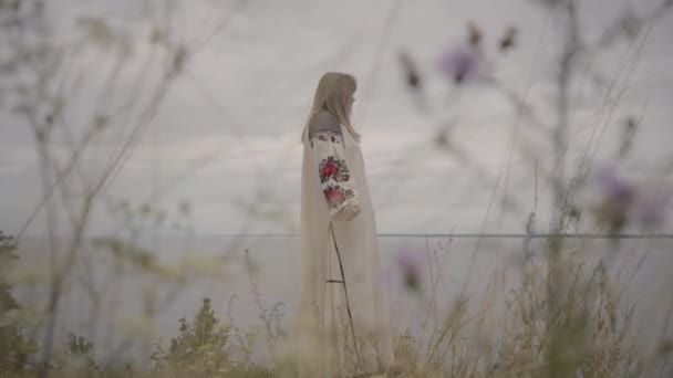 Zorgeloze blanke vrouw dragen lange zomer mode jurk staande op het veld op de achtergrond van een meer of rivier. Schattig African American Girl uitgaven vrije tijd buitenshuis. — Stockvideo