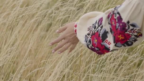 Gros plan mains d'une jeune femme en robe à manches brodées cueillant de l'herbe sur le terrain. Beau paysage. Lien avec la nature, concept de vie rurale — Video