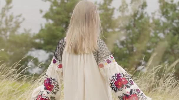 Visão traseira em mulher caucasiana bonito vestindo vestido de moda de verão longo em pé no campo no fundo de um lago ou rio. Menina afro-americana bonito passar tempo de lazer ao ar livre. Movimento lento . — Vídeo de Stock