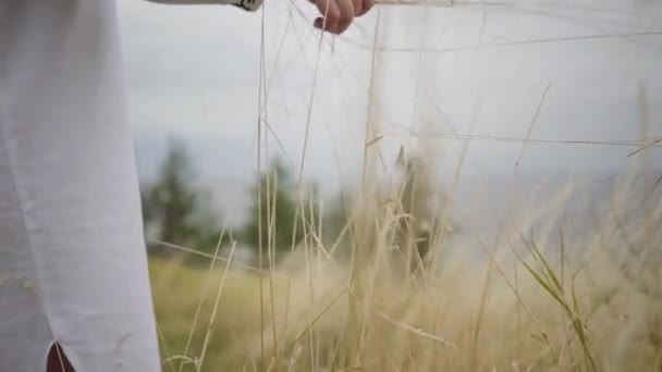 Крупным планом руки молодой женщины в платье с вышитыми рукавами, собирающей траву на поле. Красивый пейзаж. Связь с природой, концепция сельской жизни — стоковое видео