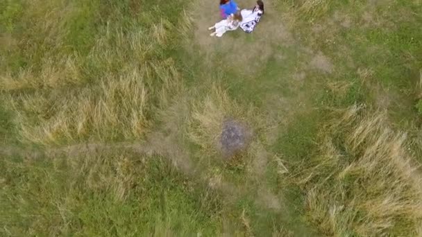 Vista aérea a tres novias que usan vestido largo de la manera del verano que camina cerca del lago o del río. Dos caucásicas y una afroamericana pasan tiempo libre al aire libre. Disparos con drones . — Vídeos de Stock