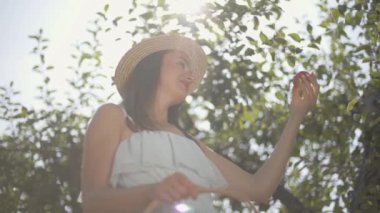 Hasır şapka lı ve beyaz elbiseli çekici genç pozitif kadın elma ları toplayıp yeşil bahçedeki hasır sepete koyuyor. Hasat zamanı, kırsal yaşam tarzı. Alt görünüm. Yavaş çekim