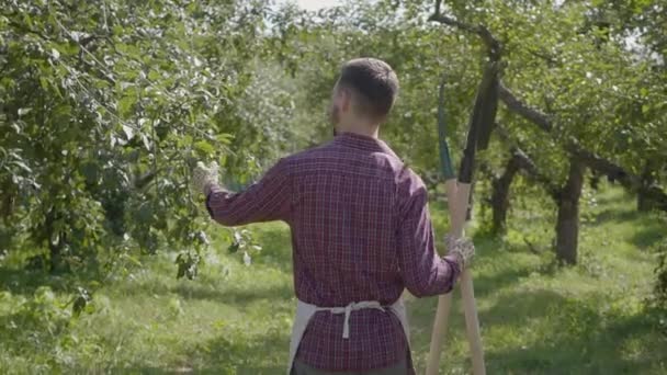 Профессиональный бородатый фермер, гуляющий по саду с лопатой и вилами в руках. Концепция сельской жизни, фруктоводства, садоводства. Медленное движение — стоковое видео