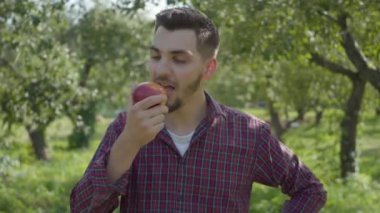 Genç kendine güvenen sakallı çiftçi bahçede lezzetli bir elma yeme ve etrafa bakarak, ağaçların durumunu kontrol yürüyüş. Kırsal yaşam kavramı, meyve cilik, bahçecilik Gerçek insanlar serisi.