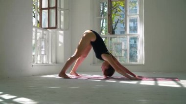 İnce beyaz kadın yoga pratik büyük odada paspas üzerinde duruyor. Aşağı Bakan Köpek poz ayakta kız sonra Cobra poz vücut viraj. Ruhsal gelişim