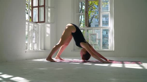 Mujer delgada caucásica de pie sobre la esterilla en la gran sala practicando yoga. La chica de pie en la postura hacia abajo frente al perro y luego doblar el cuerpo en la pose Cobra. Desarrollo espiritual — Vídeo de stock