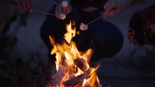 Jovens amigos hipster relaxando na praia fazendo marshmallows com um fogo e conversando na noite de verão aconchegante. de perto — Vídeo de Stock