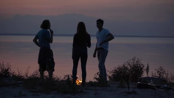 Jovens amigos hipster relaxando à beira-mar com fogueira fazendo marshmallows com uma fogueira e conversando na aconchegante noite de verão — Vídeo de Stock