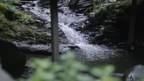 Gebirgsfluss in einem Waldgebiet. ein kleiner Fluss fließt an felsigen Ufern entlang. — Stockvideo