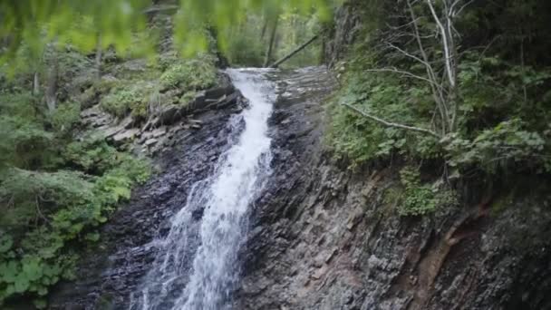 Cascade dans la forêt. Beauté de la nature, nature sauvage. Paysage incroyable. Beauté estivale. Vue du dessus — Video