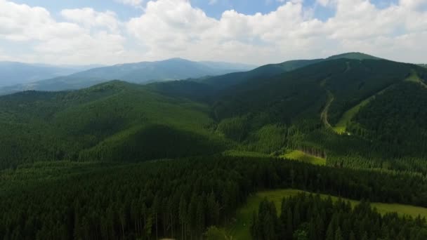 Vista aérea de montañas cubiertas de árboles. Conexión con la naturaleza. Viajar, turismo, vacaciones. Disparos con drones, vista superior . — Vídeo de stock