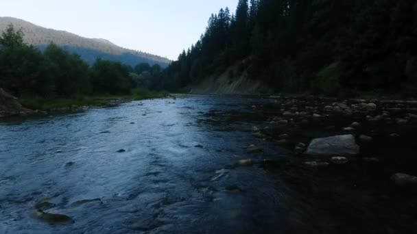 Hermoso paisaje. Drone tiro de agua corriente del pequeño río poco profundo en el bosque de verano. Cámara avanzando. Naturaleza pacífica — Vídeos de Stock