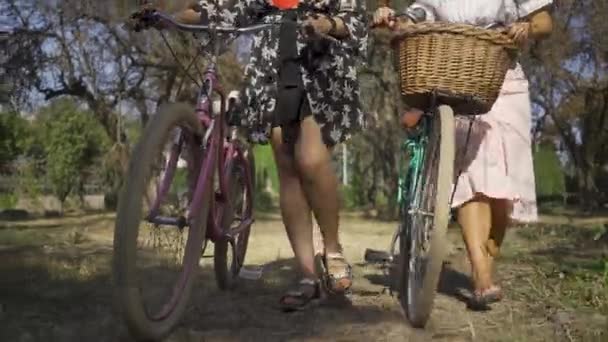 Dos mujeres jóvenes lindas caminando al aire libre. Chicas hablando mientras conducen sus bicicletas en la estrecha carretera en la calle. La vida rural. Estilo retro. Hermoso día de verano . — Vídeos de Stock