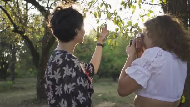 Fotógrafo muito jovem com cabelo encaracolado tirando foto da menina no jardim ou parque. A fotógrafa a ajudar a cliente a posar melhor. Estilo retrô. Profissão — Vídeo de Stock