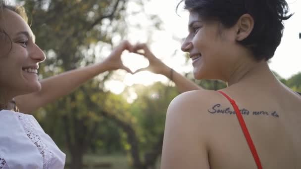 Güneş ışınlarının önünde parmaklarıyla kalp şekli oluşturan iki çekici kadının arka görünümü. Güzel lezbiyen çift gün batımının tadını çıkarıyor. Romantik tarih — Stok video