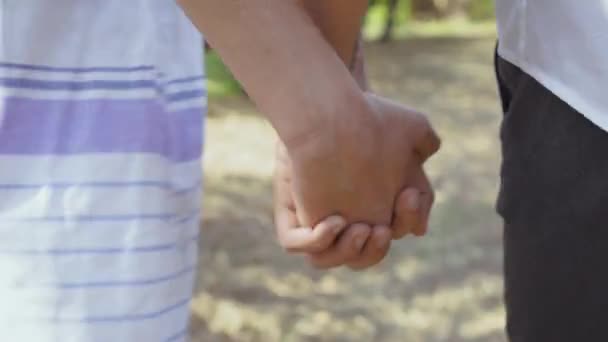 Pareja caminando por el parque o jardín tomados de la mano. Hombre y mujer pasando tiempo juntos al aire libre. Vista trasera . — Vídeo de stock