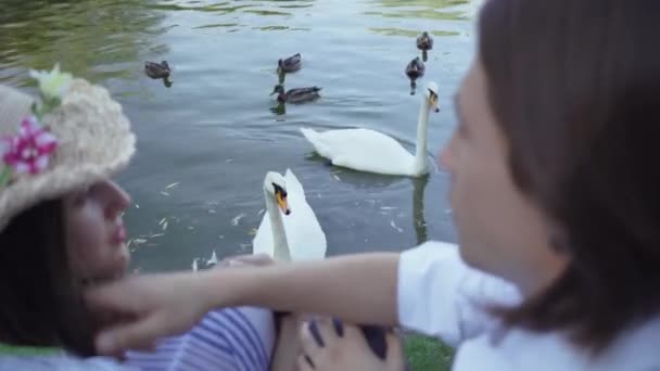 Jóképű férfi hosszú haja megható haja csinos nő kalapban az előtérben, miközben szép, fehér hattyú és a kis kacsa hattyú úszó a vízben a háttérben. Retro stílusú — Stock videók