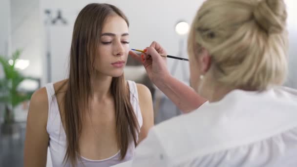 Vista posterior de la pintura del artista en la cara de las niñas utilizando un pequeño cepillo suave. Concepto de arte corporal. Modelo posando para artista. Disparando por encima del hombro. Proceso de trabajo — Vídeo de stock