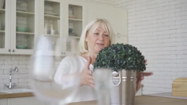 Θετική ώριμη γυναίκα στέκεται στη σύγχρονη κουζίνα με το θάμνο στον κουβά. Η ηλικιωμένη γυναίκα φροντίζει ένα φυτό. Αναψυχή στο σπίτι. — Αρχείο Βίντεο