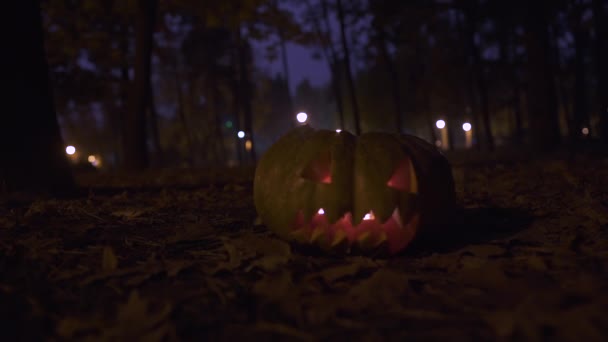 La grande citrouille avec une bougie allumée à l'intérieur couché sur le sol dans le parc d'automne du soir gros plan. Concept de célébration d'Halloween — Video