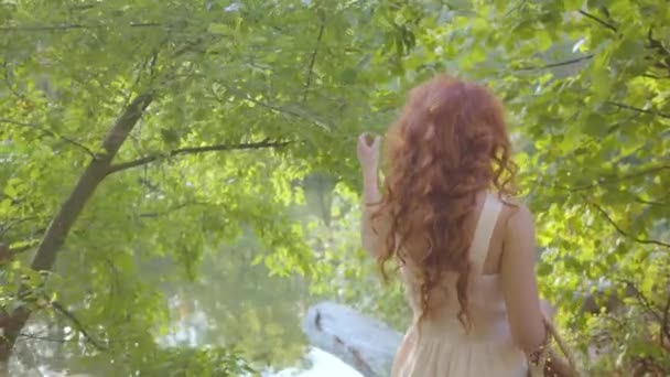 Pretty redhead caucasian girl walking among the trees. Young attractive fairy woman turning to the camera and smiling. — Stock videók